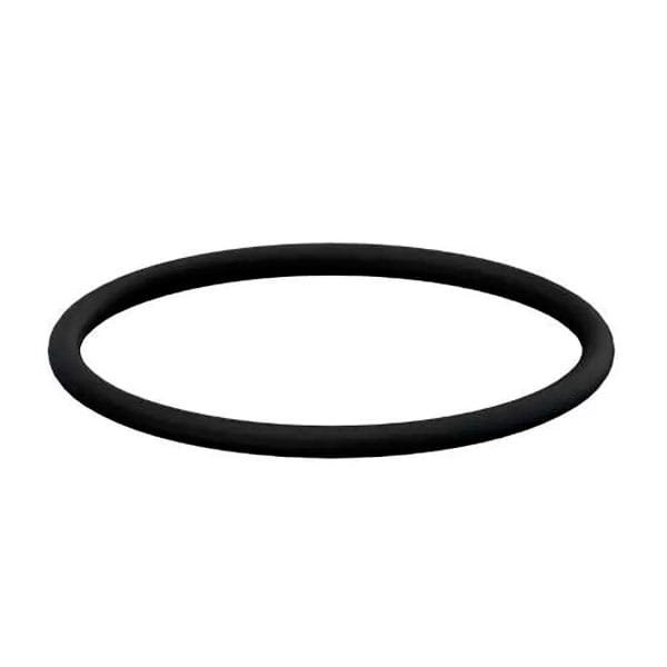 Anel de Borracha Esgoto 100mm Plastilit